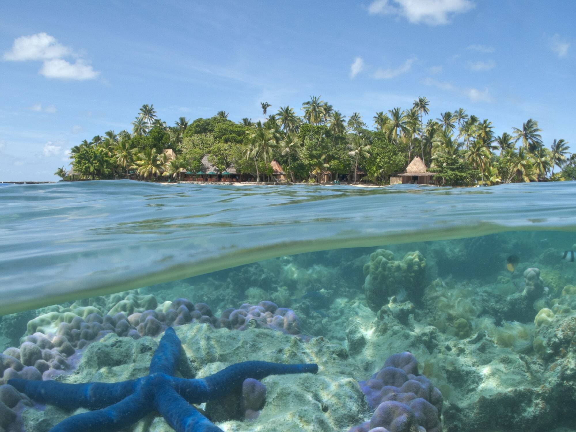 Toberua Island Resort Luaran gambar